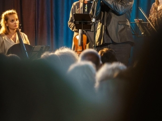 Zummerbuhne RBF05698 kopiëren