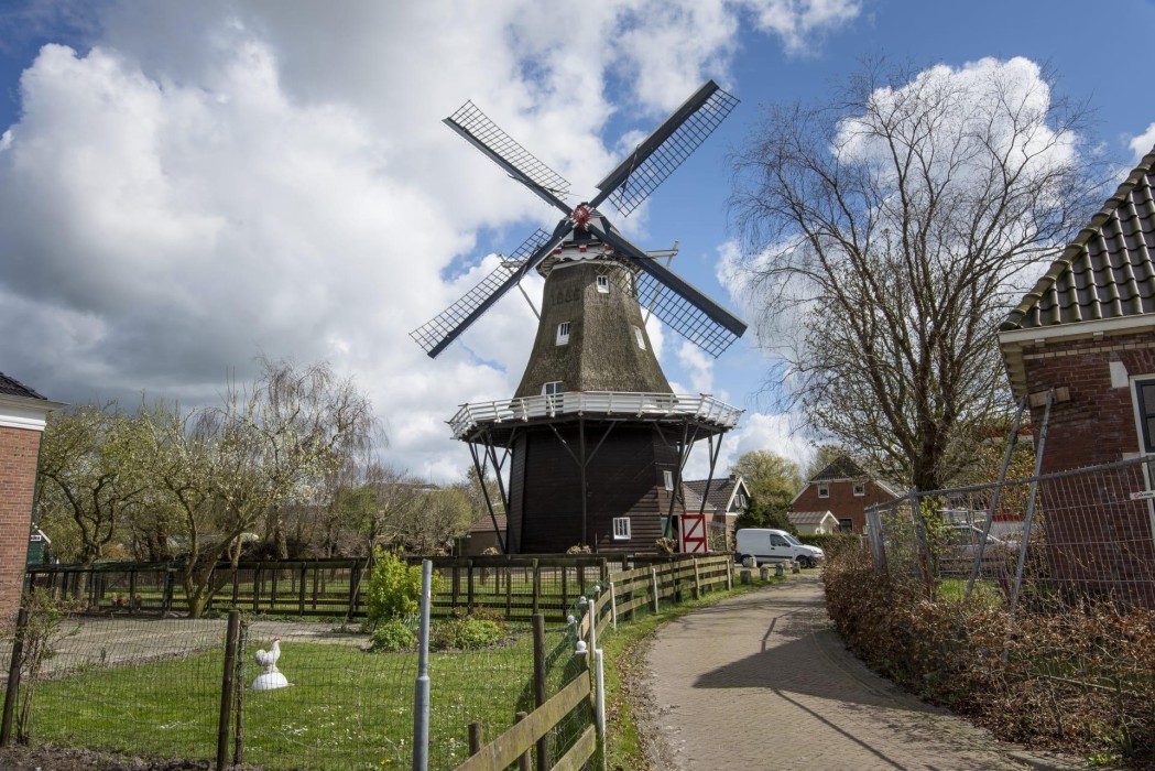 Het Groninger Landschap De Leeuw 003
