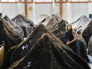 TNHB SCHADUW 6 REYER BOXEM