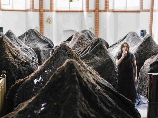 TNHB SCHADUW 7 REYER BOXEM